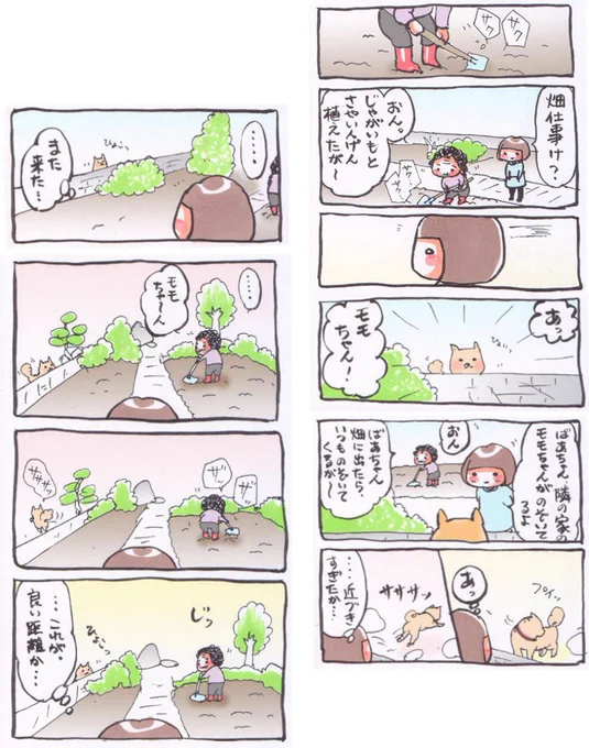 「モモちゃん」#漫画 #イラスト #2013年4月 #柴犬 