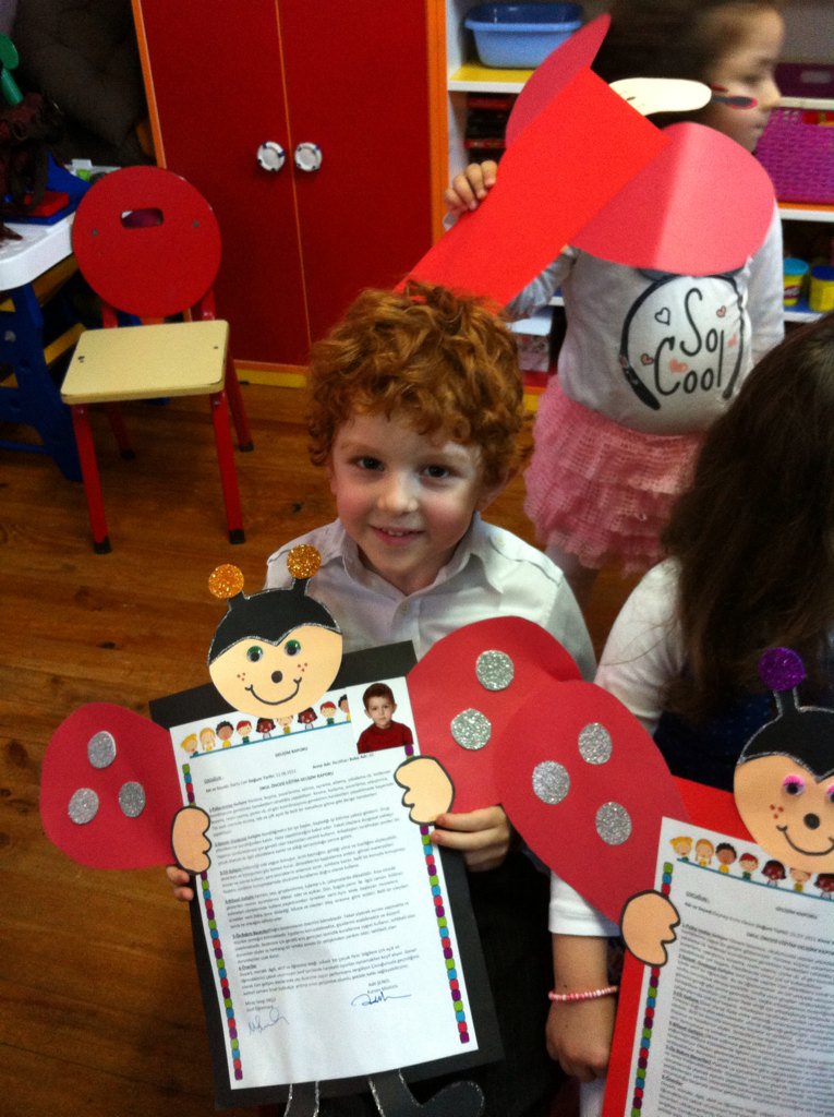 nes_leee's tweet image. Uğurböcekleri her yerde; şansınız bol olsun kuzucuklar... #kuzucuklar #uğurböcekleri