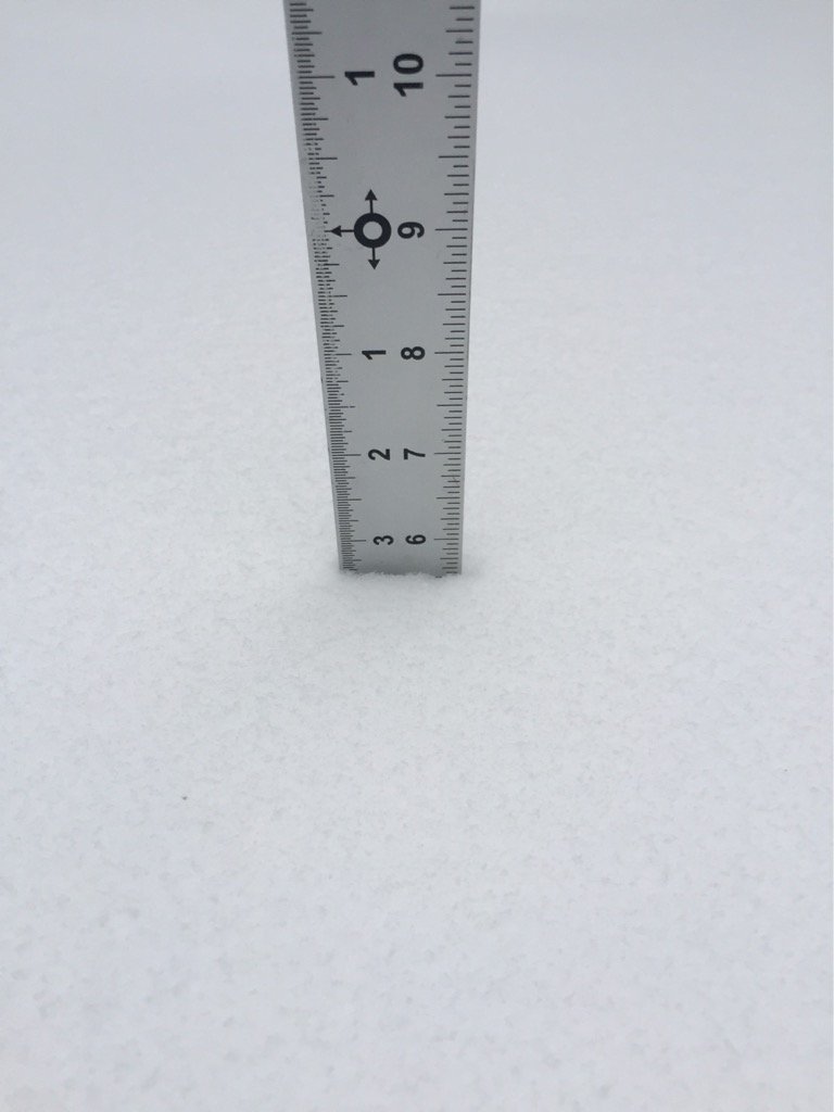 Legitimate reason to stay home?