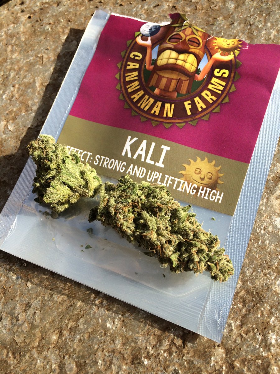NewVansterdam's tweet photo. Happy Friday! Check out this Kali from @Cannamanfarms! 🌞 Amazing flower
#Weed #W420 #i502 #StonerNation #VancouverWA https://t.co/PYmhXjxVpo