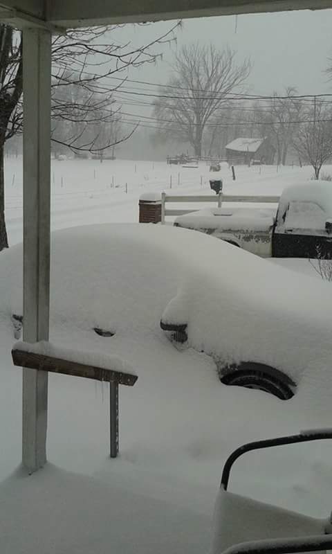 SingletonMB's tweet image. #blizzard2016