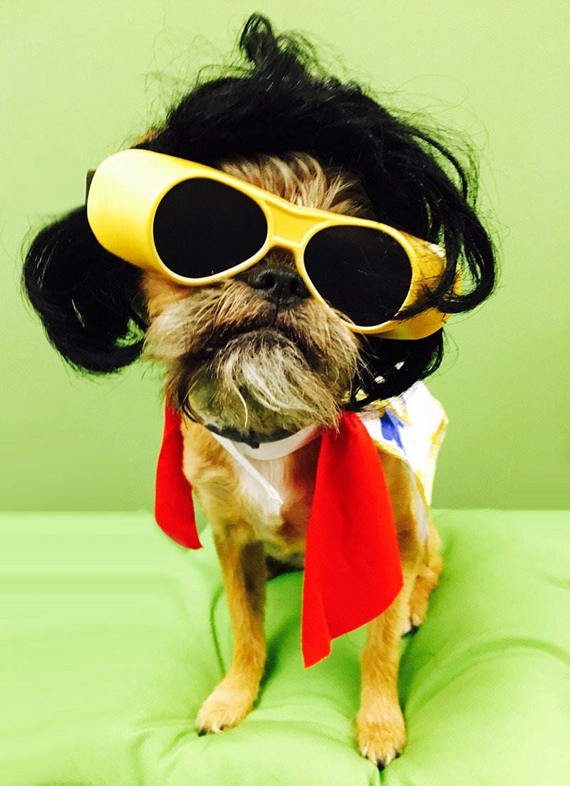 GarthStartupDog's tweet photo. What's up? I'm back in the Game! https://t.co/7s8mplqcrJ
