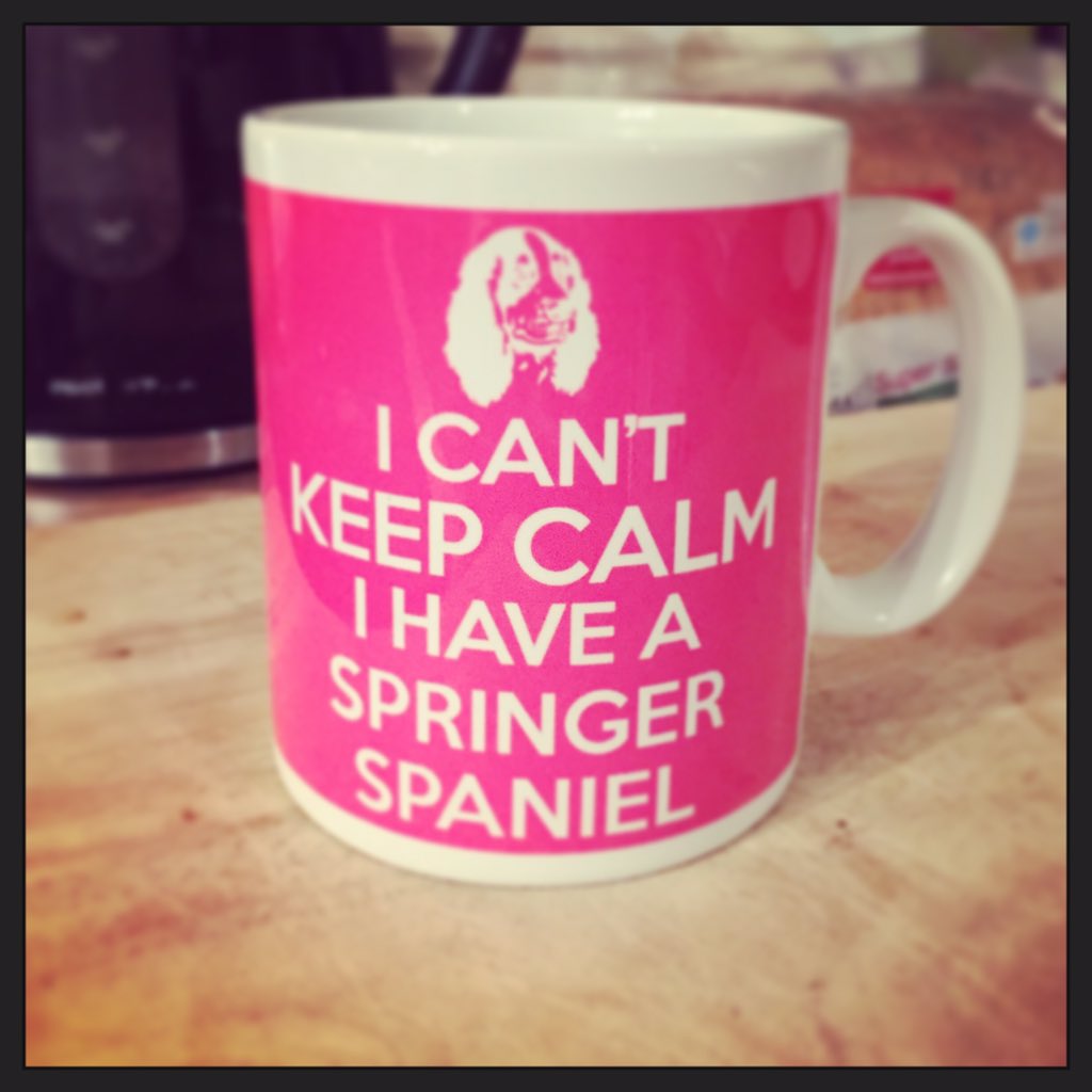 Tillydogdiary's tweet photo. https://t.co/nJrSIB9sQX