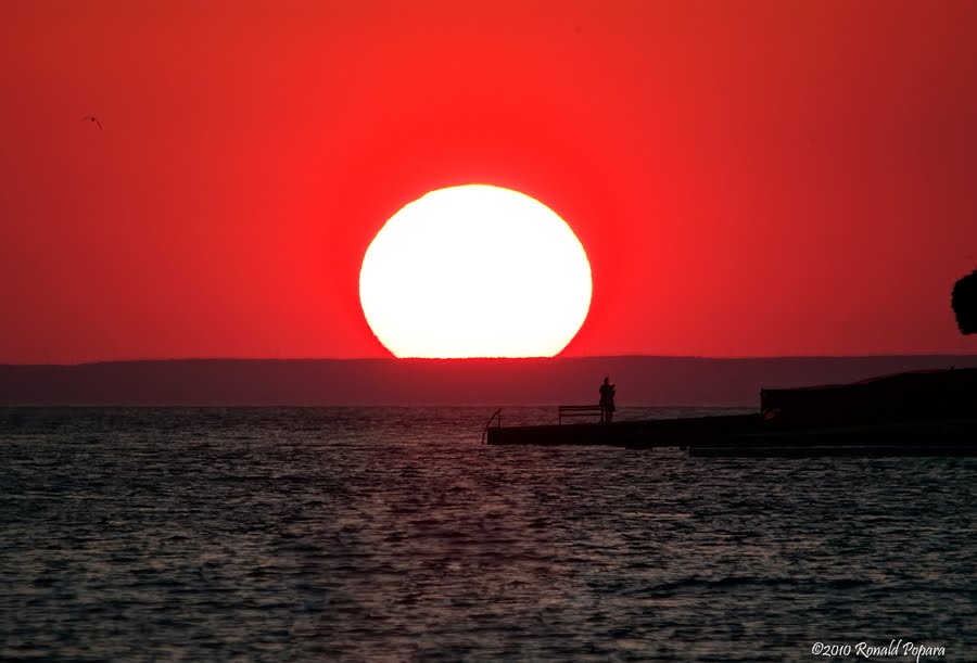Beautiful_Pag's tweet photo. #VisitPag #IslandOfPag -OTOK PAG- #Croatia/#Hrvatska/#Kroatien/#otokPag/pic by Ronald Popara https://t.co/1Rr0Rn7UTY https://t.co/uArvaWJ0aW