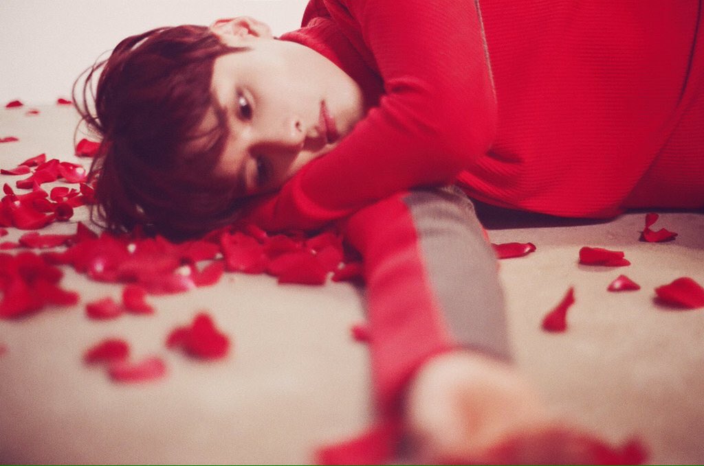 aestheticSJ's tweet photo. ryeowook aesthetic ✨

🌹🌹🌹🌹 https://t.co/Rfxk25DbaK