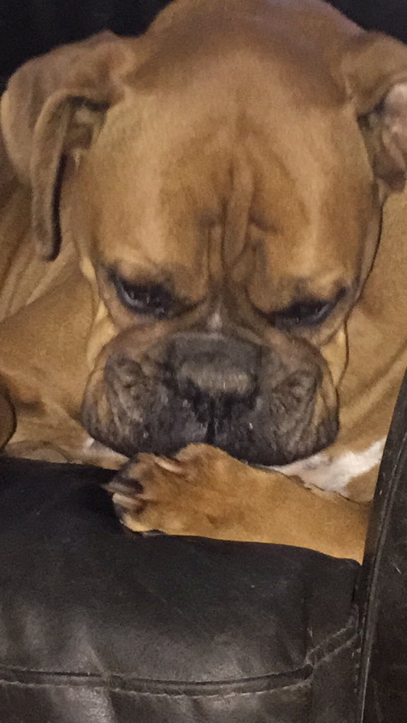 HydeParkDave's tweet photo. This is one of mine Neko Case https://t.co/mtxZJJMnwb