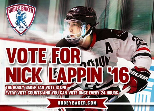 VoteNickLappin tweet media