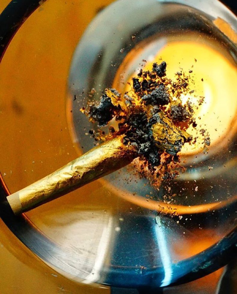 ShinePapers's tweet photo. 📷: @onlywai 💯💯💯 ➡️https://t.co/p6man5FvXD⬅️ #shineau #shinepapersau #shine #shinepapers #smokegold #iburngold… https://t.co/Zfj27fYgel