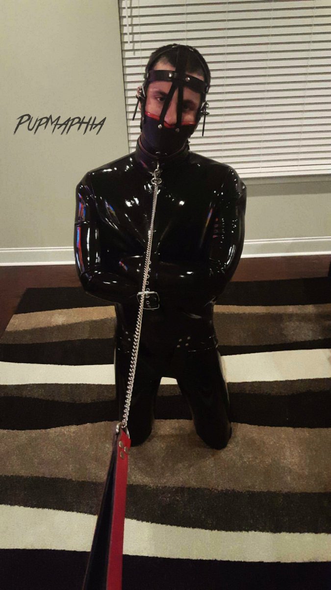 fetchfore's tweet photo. @PupMaphia all secured from getting himself into anymore trouble. https://t.co/qYpXVnQ9iQ