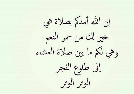 mlooook2133's tweet photo. سبحان الله وبحمده''سبحان الله العظيم🌹 https://t.co/hZuSxdTjNv