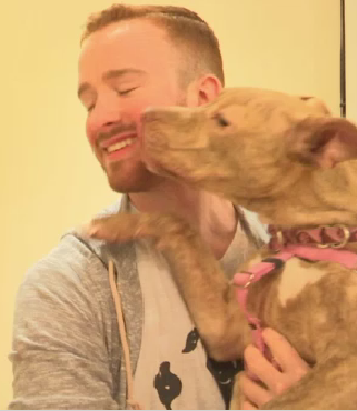 JordanMazzaTV's tweet photo. Warning! Potential cuteness overload ahead. Watch @TWCNewsROC at your own risk. @rescuepitinc #pitbull #rescue #ROC https://t.co/jwbtBBRfL5