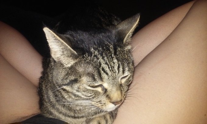 My pussy is a little hairy. https://t.co/5I42TY8YGY<a href="/tag/pickaprofessionalfuck"class="tags"><span>#pickaprofessionalfuck</span></a>