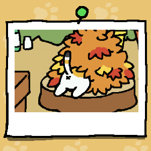 Echolox's tweet photo. "What are you doing at four in the morning?" "Watching a virtual cat play in a pile of leafs." #lostcontrolofmylife https://t.co/28sgLPqaw5