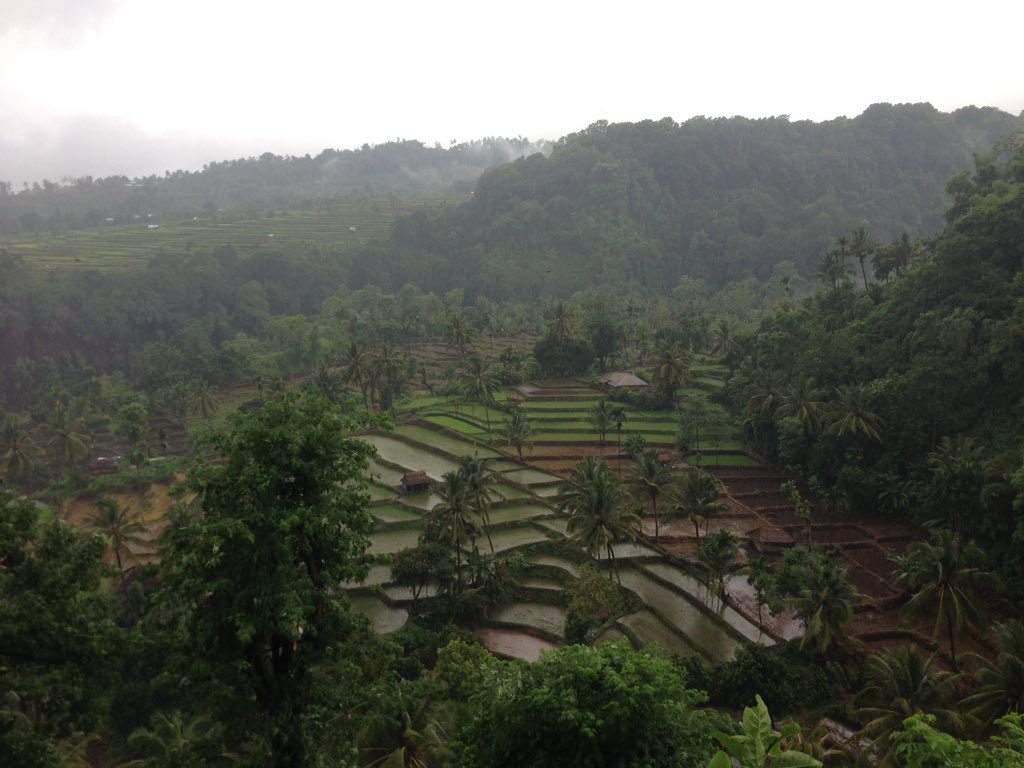 Special today before go to waterfall "welcome to senaru, nort lombok"