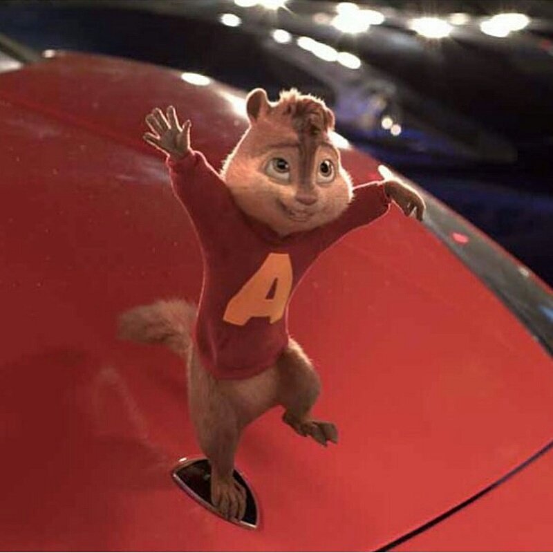 RealBrittany_M's tweet photo. Alvin!😂
@TheAwesomemunk_ https://t.co/JajofOfmWp