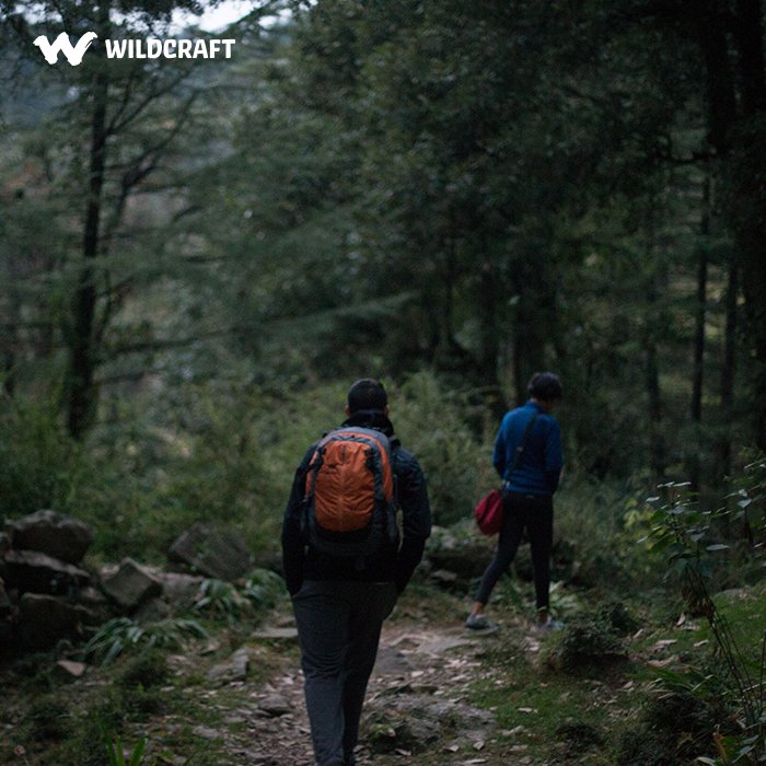 wildcrafttweet's tweet photo. Does anyone have plans to get a little lost in the wilderness this weekend? Tell us where you're going #CatchTheCold https://t.co/3MywCvAVJt
