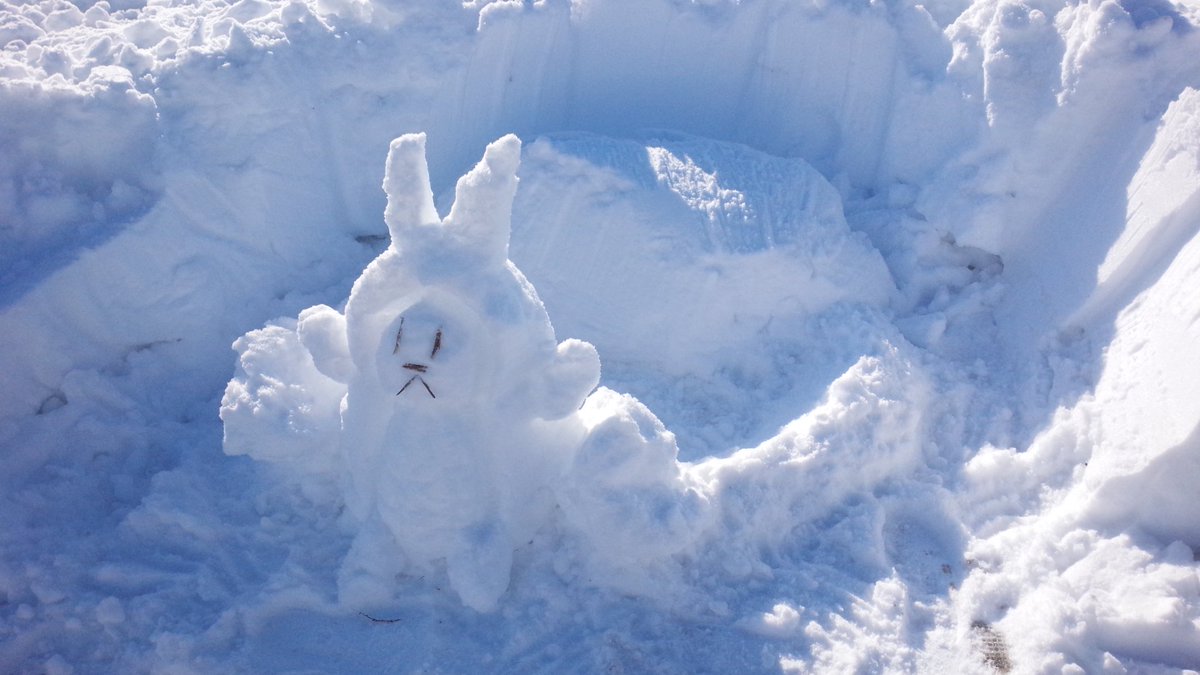 うがい手洗いニクペット@北海道（にく） tweet media