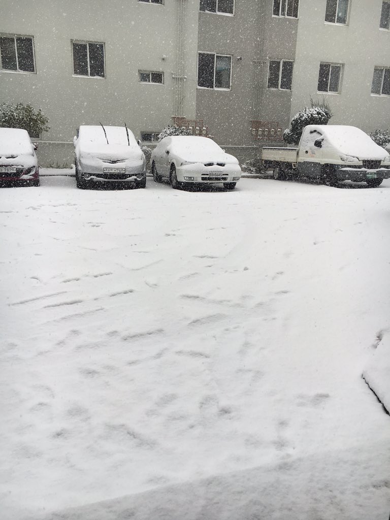 syahnx's tweet photo. Snowing~~*o* https://t.co/54hRD4j1Tu