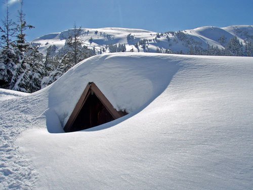 oldlogcabins's tweet photo. Hunkering down on the East Coast...JK! The photo is from Alaska taken by Jill Homer @AlaskaJill #DanMollerCabin https://t.co/978AMzOwNp