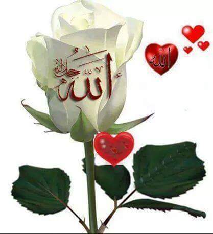 moonring261's tweet photo. 🌼🍃في التناهي عن الجدل والمراء في الله عز وجل وفي دينه🍃🌼
👇🍃 https://t.co/Sm8ValVa2b
