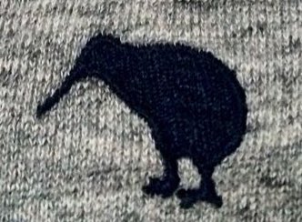 satoshitkhs's tweet photo. これから、カンタベリーのスウェットパンツを穿いてお出掛け٩(´・౪・`)۶ あっでも寒いから、これ1枚じゃあキツイよなぁ‥。
それにしても、ニュージーランドの国鳥「キウイ」の刺繍がいい感じ(*´艸`*)
#39fml https://t.co/0Mvmv84dOK