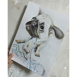 Joy_PhotoCam's tweet photo. my watercolour#pug #pugMocha#π #myroxy https://t.co/dkbMe0D16i https://t.co/t01AScQKdw