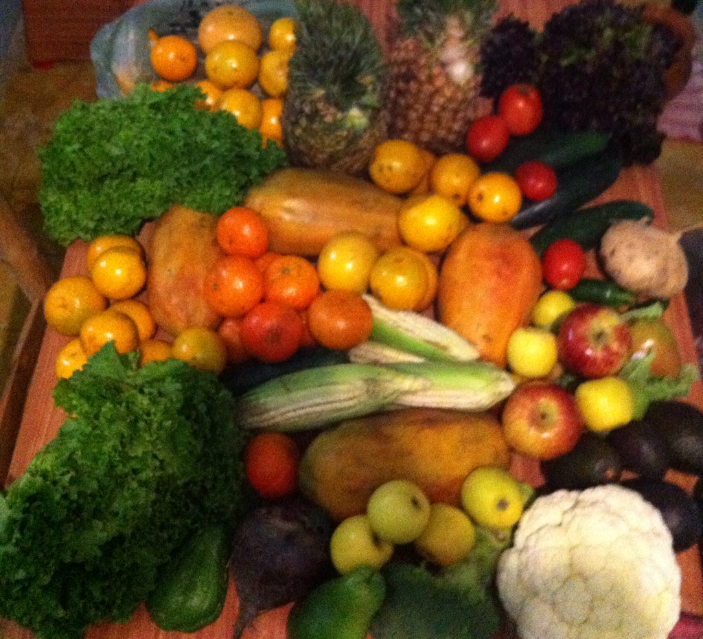 CarolBenavid's tweet photo. Esto es un estilo de vida 🍓🍒🍇🍎🍏🍊🍋🍌🌽🍐🍆🍍🍅🍠 @Rawvana #miscompras #rawvana #motivación https://t.co/8tZmlSeEqc