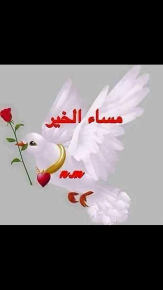 من رجال اليمن (@ali087086) on Twitter photo 