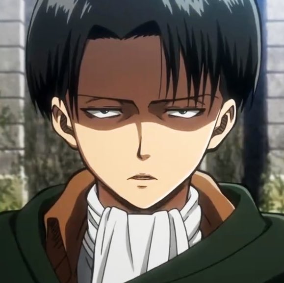 Levi Ackerman (Attack On Titan)