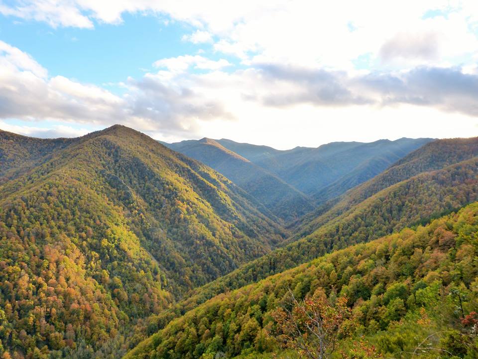 #AsturiasEnFITUR #FuentesdelNarcea #Muniellos #reinodelroble #paisdeloso