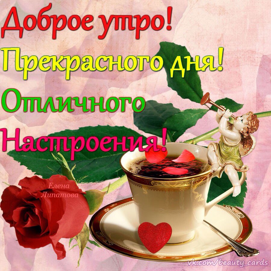 Прекрасный день, с добрым утром прекрасного дня картинки