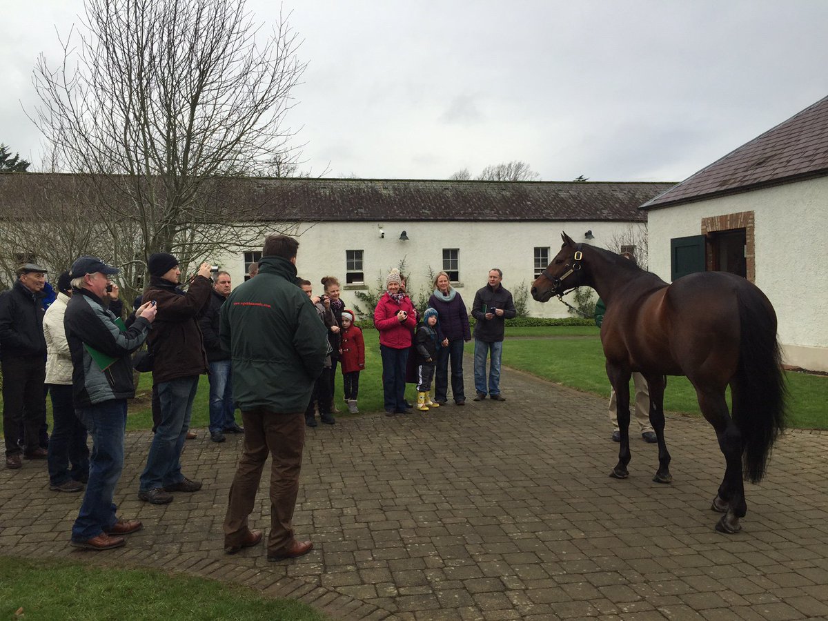 Champion racehorse and multiple Gr.1 sire #SeaTheStars is still the star of the show @IREthoroughbred #GilltownStud