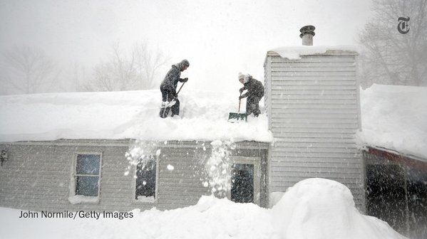 nytimes tweet picture