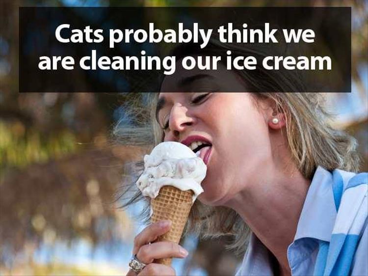 MensHumor's tweet photo. So true https://t.co/mf0fYUjXIB