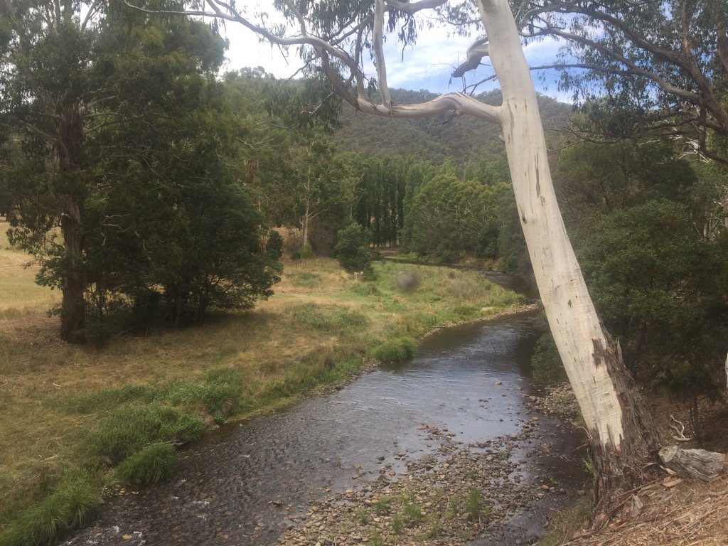 barriecassidy's tweet photo. Last Sunday morning before #InsidersABC returns #Howqua https://t.co/Z6LuCGhLkJ