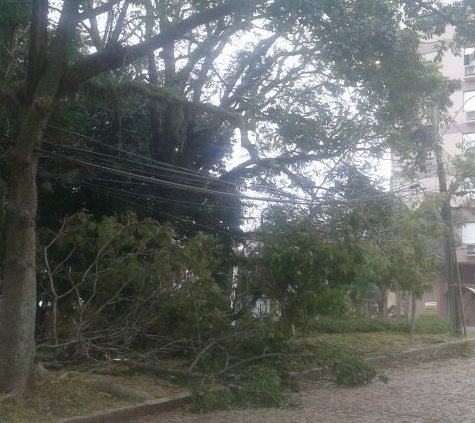 Link permanente da imagem incorporada