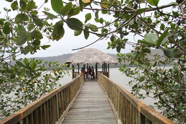 Sucre_teinvita's tweet photo. #FelizSabado Desde la #IslaCorazon te invitamos a visitarla  #CantonSucre #BahiadeCaraquez #Manabi #SucreTeInvita https://t.co/aQo6qgJYBF