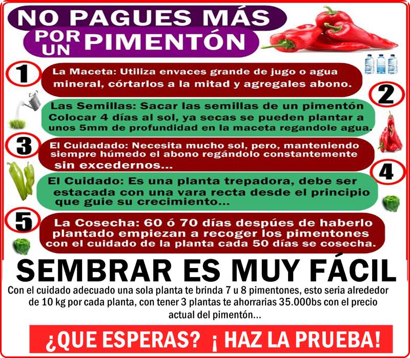 Cosole_Roj's tweet photo. SEMBRAR ES MUY FÁCIL.. ¿QUE ESPERAS? ¡HAZ LA PRUEBA!! #RebeliónPopularEnVzla
 @NicolasMaduro 
@dcabellor https://t.co/70SuXc85Uf