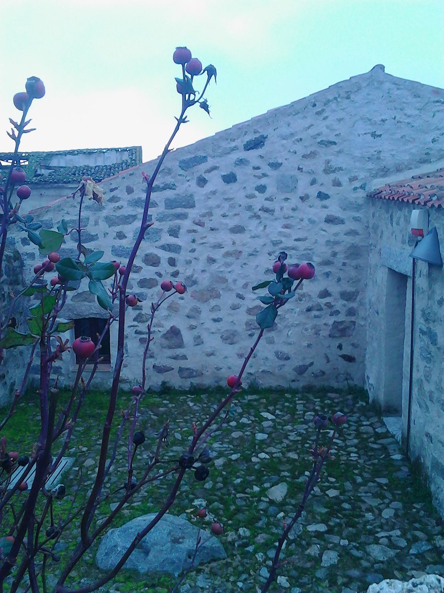 paoloigna1's tweet photo. @NicolodiDaria un bel momento della passeggiata di questo pomeriggio per Te cortile #Casa di #Osidda https://t.co/0FrLky9RGF