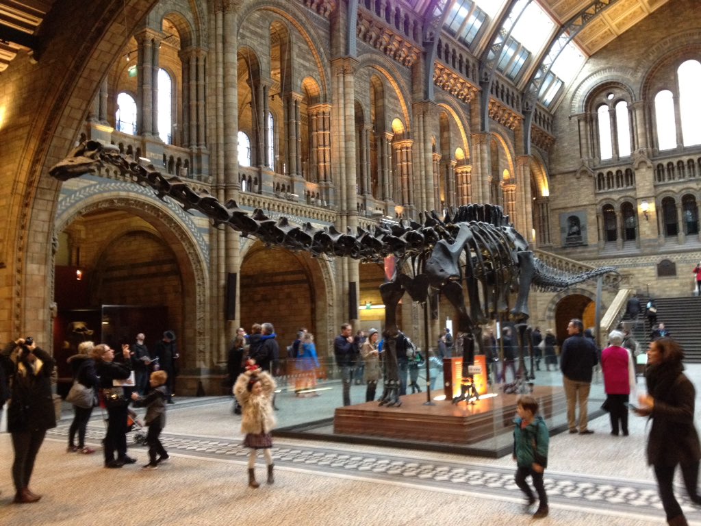Mwalsh1M's tweet photo. A Day in London. #NaturalHistoryMuseum #BAFTAPics Great Exhibitions! #ForTheLoveOfFilm #WildlifePhotography https://t.co/4UIVv3qgZ8