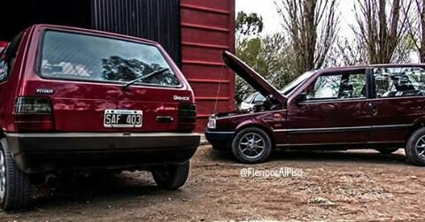 AlPisoSiempre_'s tweet photo. #Unitos #Bellezas #Solcitos #AlPisoSiempre https://t.co/XcPrM0VlWi