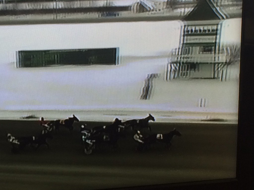 leedrake01's tweet photo. Bold Arrow and Dale Spence close down winter meet @Red_Shores https://t.co/VZF5UFITVl
