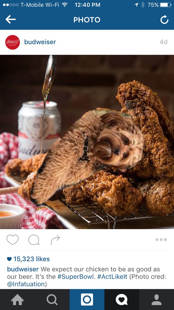 JoshLekach's tweet photo. WHY IS @BUDWEISER TRYING TO EAT BUTTERS????? https://t.co/IQY8oE9Vxu