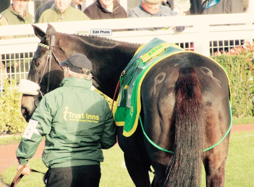 HattieLFuller's tweet photo. Many Clouds proudly supporting @WalkTheCourses ! https://t.co/cD7Uv9ZPsG