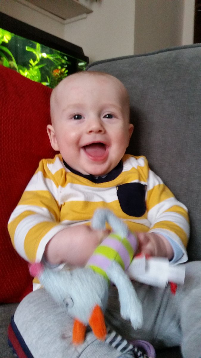 beccabdub's tweet photo. @HattyAshdown he's wonderful thanks! Won't sleep though! https://t.co/PR6oPNpezr