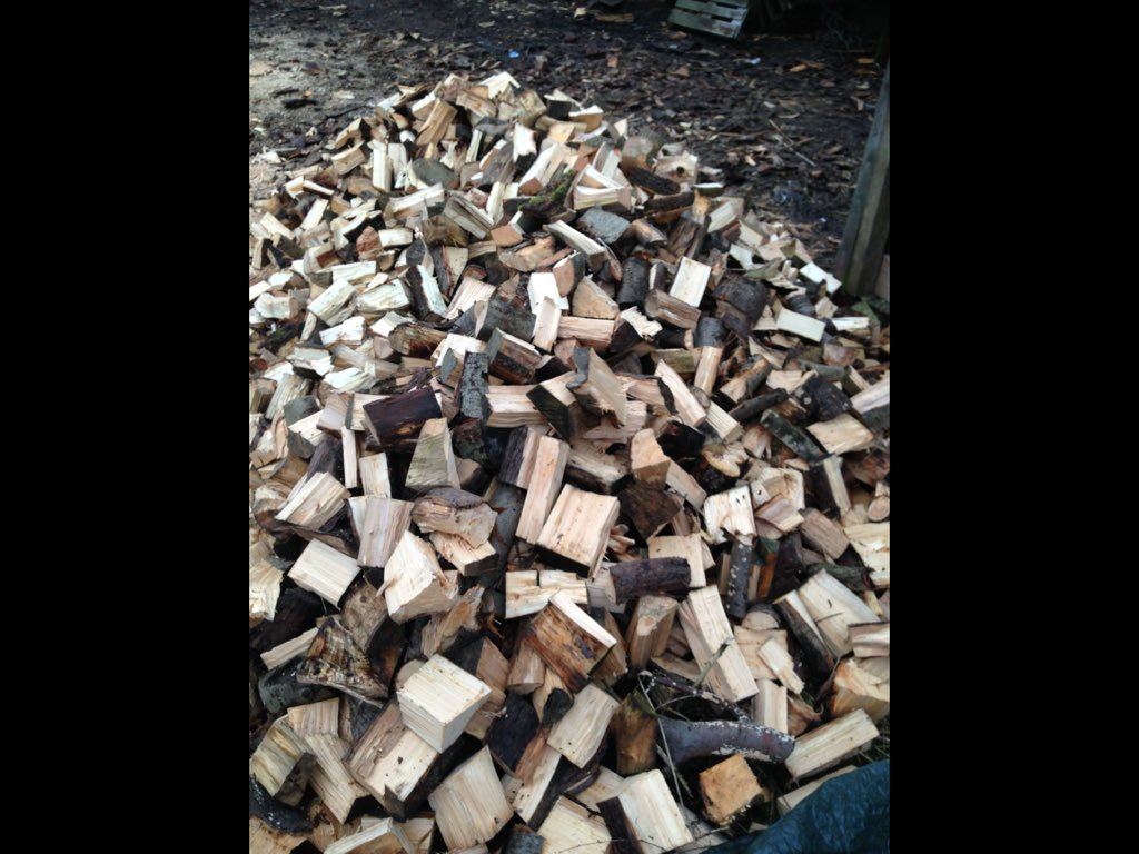 tree_access's tweet image. Had the log splitter out today. Happy days👍🏻👍🏻 mobile  log splitting service available. See totaltreeaccess.co.uk