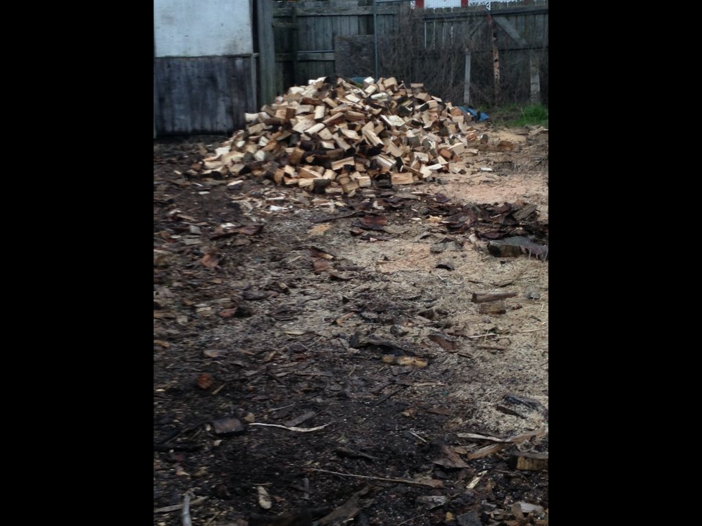 tree_access's tweet image. Had the log splitter out today. Happy days👍🏻👍🏻 mobile  log splitting service available. See totaltreeaccess.co.uk