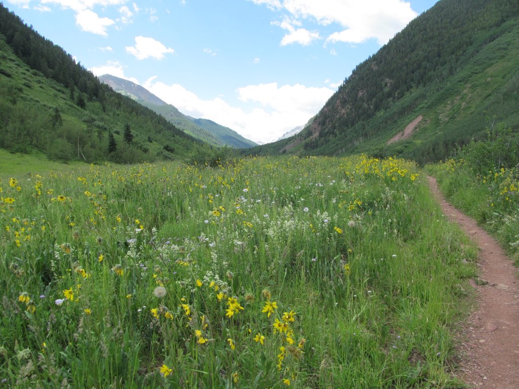 ThatHikerChick's tweet photo. Is it summer yet I want to lay in meadows of flowers! #hikerchat #colorado https://t.co/d8YfcGfy1E
