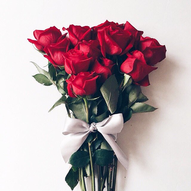 SpringFlowersIn's tweet photo. I've learned.. that it is not what I have in my life but who I have in my life that counts. ❤️🌹#spring flowers https://t.co/Yd3K863sHT