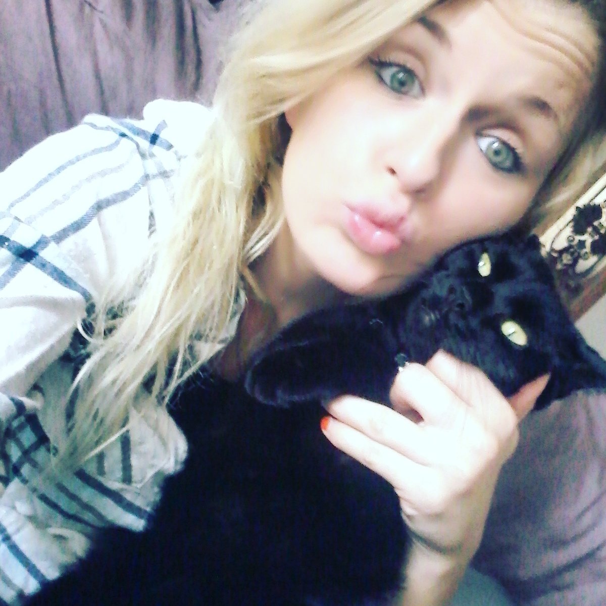 Gabby_tyler2's tweet photo. One more because she's so cute! #thanksgiving #kittyselfies #latepost #anotherone #dailykittypost https://t.co/gIJHcZDu1Q